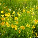 동강1박2일민박 이미지