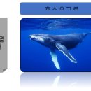 파워포인트(초급반) | 2023년 4월 목감코딩학원 초등 초급반 수업 후기