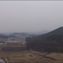 대곶초교 이미지