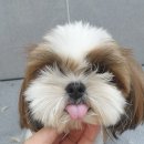 은마로동물병원 이미지