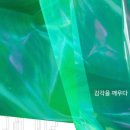 2024 여수에코국제음악제 이미지