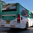 현리 오거리 이미지