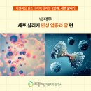 채움테라피
