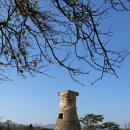 경주초장 | 경주 맛집 용산회식당 웨이팅 회덮밥 초장 가격 근처 가볼만한곳