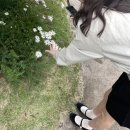 삼전하늘어린이집 | [일상] 가을아 보내줄게 겨울 다오