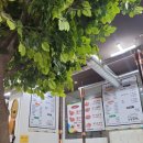 응봉할매 이미지