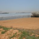 성환읍041 이미지