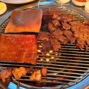 왕돼지 티스토리