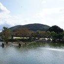 메이즈랜드 이미지