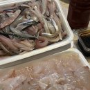 창녕상회 | 부산 회센터 맛집 창녕상회 자갈치시장 전어 제철