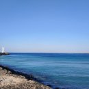 (주)지에스엘바이오 이미지