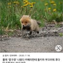 김병오농장 | 파묘 용산CGV ULTRA 4DX 2D 용포디 용포프 H열 후기🦊