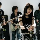 낭만고양이 이미지