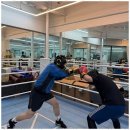 퍼블릭 복싱 이미지