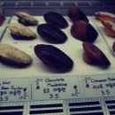 동탄중앙로 이미지