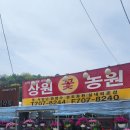 상원농원 이미지