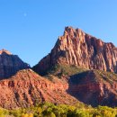 자이언(ZION) 이미지