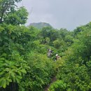 팔지천 | [등산] 운장산 1,126m (진안)