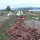 돈구농장 이미지