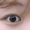 제이유래쉬