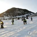 강계 이미지
