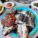 착한수산 - 태안군 영목항로 30-40 | 기장 대변항 맛집 추천 착한가격 오양수산장어구이 솔직후기