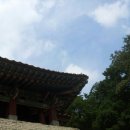 새재왕족발 이미지