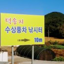 복지낚시터 이미지