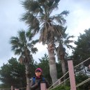 제주하도바당 이미지