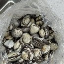 역전 | 벌교꼬막_별교맛집_참꼬막_새꼬막_추천_별교역전꼬막_리뷰_후기