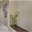 시지정형외과의원 이미지