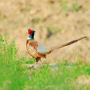 공장나라공인중개사사무소 이미지