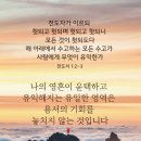 홀리씨즈교회 이미지
