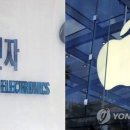 애플 이미지