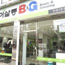비엔지 이미지