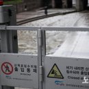 나성동_다정교 이미지