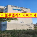 안덕공인중개사사무소 이미지