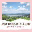 [충남 예산 가볼만한곳]출렁다리,봉수산,황새공원,수덕사::덕산리솜2박3일 일정::