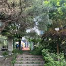 서봉산 산림욕장 2 이미지