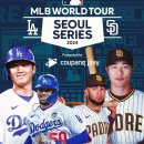 월드타이거즈 이미지