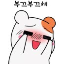 대박뽑기짱 이미지