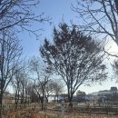 뚝섬한강공원-29 | 2024 뚝섬한강공원 눈썰매장 주말 아침부터 신나게 썰매 탄 후기