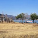 목천 Daum카페