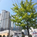 대신공원한신휴플러스 이미지