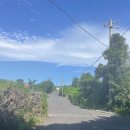 신산공인중개사사무소 이미지