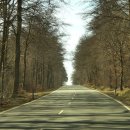 공용재산 토지 이미지