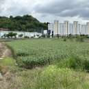 구공설운동장 이미지