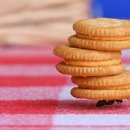 호텔욜로(YOLO) 이미지