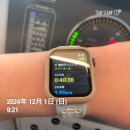 2024년 12월 / 幸せは隠れながらやってくる 今日のように🌈