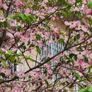 예쁜나무약국 이미지